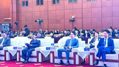 Der stellvertretende Vorsitzende des Provinzvolkskomitees, Ha Trong Hai, nahm am „Forum 2025 zur Zusammenarbeit zwischen den lokalen Behörden von Lancang und dem Mekong-Fluss sowie zum Dialog über Kultur- und Geschichtsstädte“ teil.