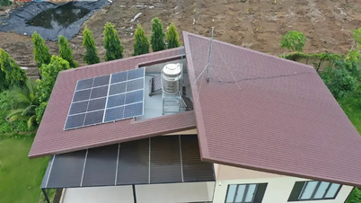 Anh Duong Solar menghadirkan energi terbarukan ke jantung Delta Mekong