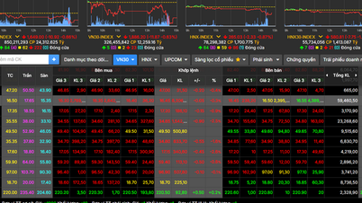 El 19 de noviembre, las acciones experimentaron amplios ajustes.