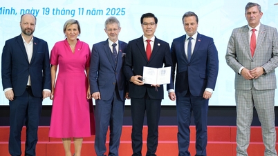 ប្រធានសាកលវិទ្យាល័យ Ton Duc Thang ទទួលមេដាយរំលឹកពីព្រឹទ្ធសភានៃសាធារណរដ្ឋឆេក