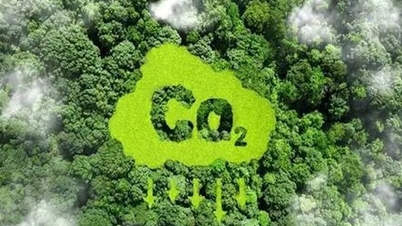Pasaran Kredit Karbon: 'Aset Hijau' Membuka Jalan untuk Ekonomi Mampan