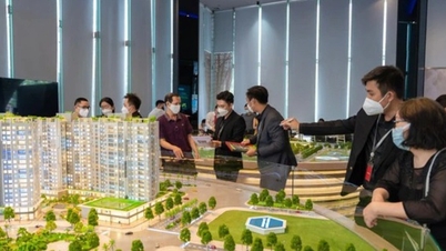 রিয়েল এস্টেট ব্রোকারেজ প্র্যাকটিস সার্টিফিকেট প্রদানের ফি ২০ নভেম্বর, ২০২৫ থেকে কার্যকর হবে