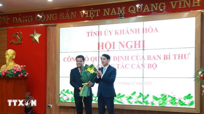 Điều động, chỉ định đồng chí Trần Phong giữ chức Phó Bí thư Tỉnh ủy Khánh Hòa