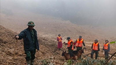 Da Nang: Encuentran el primer cuerpo de la víctima del deslizamiento de tierra en Hung Son
