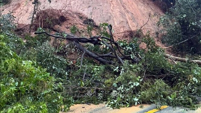 Khanh Hoa and Lam Dong coordinate to block and ensure safety on Song Pha pass