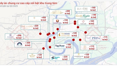 Orașul Ho Și Min își formează un model multicentric.