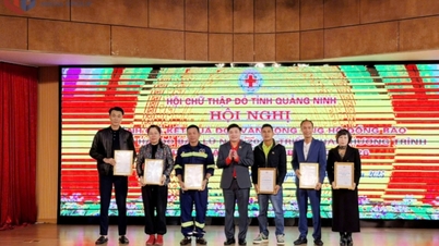 جمعیت صلیب سرخ استانی نتایج کمپین حمایت از افراد آسیب‌دیده از بلایای طبیعی را ارزیابی می‌کند.