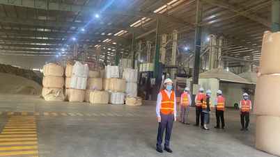 Hoạt động sản xuất công nghiệp tỉnh Đắk Lắk: Tăng trưởng ấn tượng trong tháng 7/2025