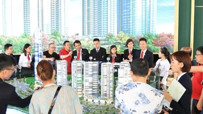 রিয়েল এস্টেট ব্রোকারেজ প্র্যাকটিস সার্টিফিকেটের ফি ৩০০,০০০ ভিয়েতনামি ডঙ্গ।