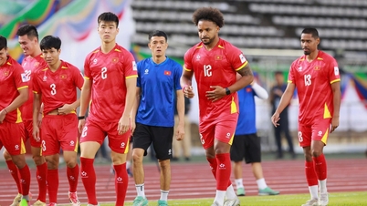 আজ ১৯ নভেম্বর সন্ধ্যা ৭টায়, লাওস বনাম ভিয়েতনামের সরাসরি ফুটবল দেখার লিঙ্ক