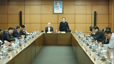 Perwakilan mencadangkan untuk membina peta jalan untuk kakitangan Vietnam di organisasi antarabangsa.