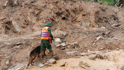 Da Nang: Primul cadavru găsit într-o alunecare de teren din Hung Son