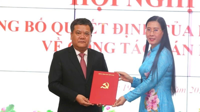 Khánh Hòa công bố quyết định của Ban Bí thư về công tác cán bộ