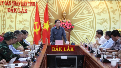 Vicepremier Ho Quoc Dung: We moeten mensen uit gevaarlijke gebieden koste wat kost redden.