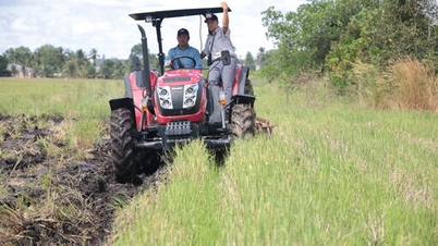 Rolnicy z gminy Cau Khoi testują ciągniki marki Yanmar