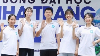 Az első egyetem, amely 2026-ban nem veszi figyelembe az átiratokat, és nem adja hozzá az IELTS-pontszámokat a felvételihez.