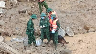 दा नांग: हंग सोन कम्यून में भूस्खलन पीड़ित का एक शव मिला