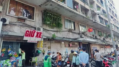 Konsentrer ressursene for å fremskynde fremdriften av medisinske prosjekter