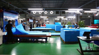 डोंग नाई के उद्यम नेट ज़ीरो की ओर हरित परिवर्तन में अग्रणी