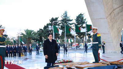 نخست وزیر: ارتقای همبستگی ویتنام و الجزایر در عصر جدید