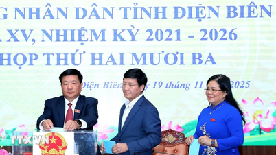 दीन बिएन प्रांत की पीपुल्स कमेटी के अध्यक्ष और पीपुल्स काउंसिल के अध्यक्ष का चुनाव