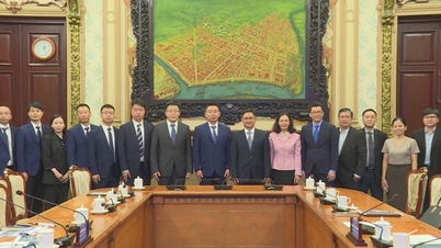 BOE mengembangkan pelaburan sebanyak 300 juta USD, Ho Chi Minh City komited kepada sokongan maksimum