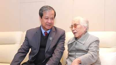 Voormalig vicepresident Nguyen Thi Binh richt haar hoop op de onderwijssector