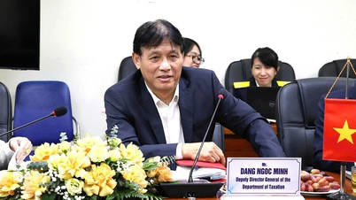 MAP-onderhandelingsronde 2: versterking van de belastingsamenwerking tussen Vietnam en Singapore