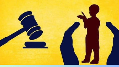 Deveres e poderes do Conselho Nacional de Justiça Juvenil