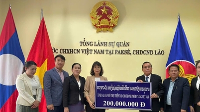 Dél-Laosz tartományai 700 millió vietnami donnal támogatják Da Nangot az árvíz következményeinek enyhítésére.