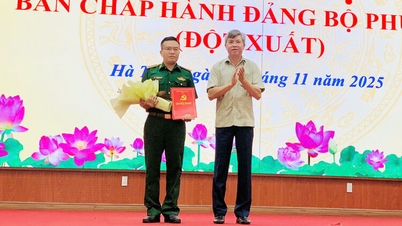 Den provinsiella partiets ständiga kommitté utsåg personal som skulle delta i partiets verkställande kommitté i Ha Tien-distriktet.