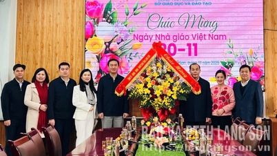 Provincial leaders visited and congratulated Vietnamese Teachers' Day at the Department of Education and Training