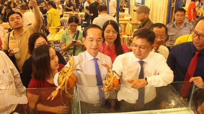 Ho Si Minh-város nyüzsgéssel nyitotta meg a 2025-ös Ca Mau Rákfesztivált 100 különleges standdal