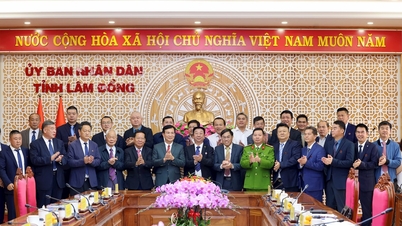 Președintele Comitetului Popular al provinciei Lam Dong, Ho Van Muoi, a primit o delegație de oameni de afaceri chinezi