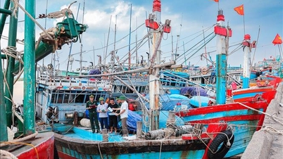 Meningkatkan kesedaran dan tanggungjawab dalam kalangan nelayan mengenai memerangi penangkapan ikan IUU.