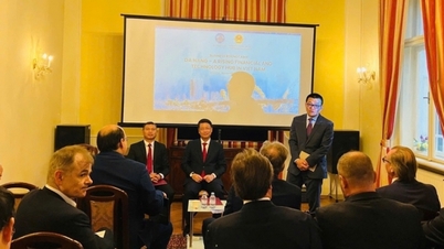 Austria se angajează să însoțească și să sprijine întreprinderile în extinderea conexiunilor, investițiilor și cooperării cu orașul Da Nang.