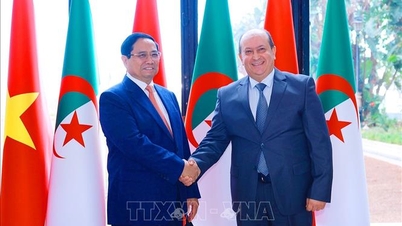Perdana Menteri Pham Minh Chinh mengadakan perbincangan dengan Perdana Menteri Algeria Sifi Ghrieb