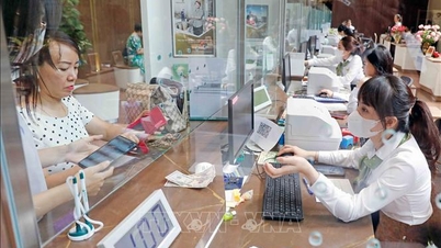 Kesimpulan No. 208-KL/TW mengenai penyusunan semula organisasi parti dalam kumpulan ekonomi, syarikat dan bank perdagangan milik kerajaan