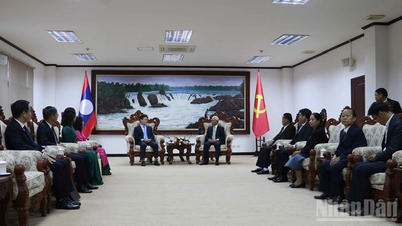 Делегация Центральной комиссии пропаганды и мобилизации масс посетила и работала в Лаосе