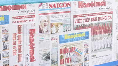 মুদ্রণ ও ইলেকট্রনিক প্রেস কার্যক্রমের জন্য অর্থনৈতিক ও প্রযুক্তিগত নিয়মাবলীর উপর সার্কুলার তৈরি করা