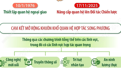 Vietnam-Kuwait lovar att utöka det bilaterala samarbetet