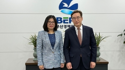 Vietnamese Consul General in Busan works with Director of Busan Economic Promotion Agency