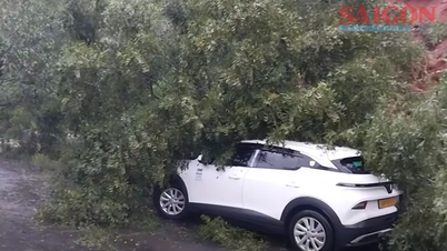 ラムドン省：ミモザ峠で再び土砂崩れ、多くの車は幸いにも難を逃れた