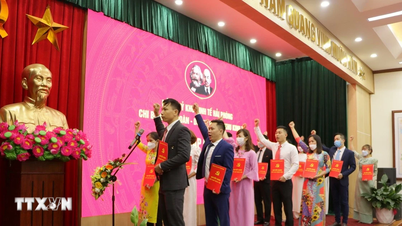 Organisera partiorganisationer i ekonomiska grupper, företag och kommersiella banker