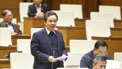 세무행정의 투명성 강화