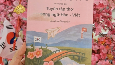 পোয়েট্রি ব্রিজ ভিয়েতনাম-কোরিয়া সাংস্কৃতিক বিনিময়কে প্রসারিত করে