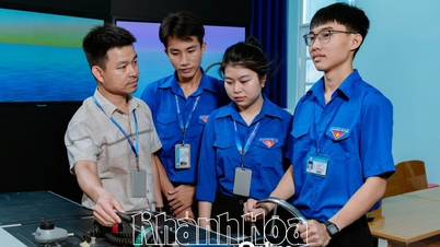 En 2026, la Universidad de Nha Trang matriculará a 3.800 estudiantes.