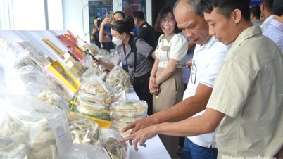 An Giang connects to consume 35 tons of bird's nest from farms