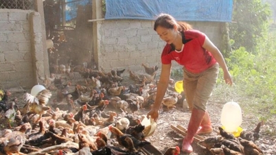 Etnik azınlıkların yeni işler aracılığıyla yükselmesine yardımcı olmak