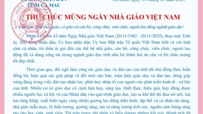 Președintele Comitetului Popular Provincial a trimis o scrisoare de felicitare cu ocazia Zilei Profesorilor Vietnamezi